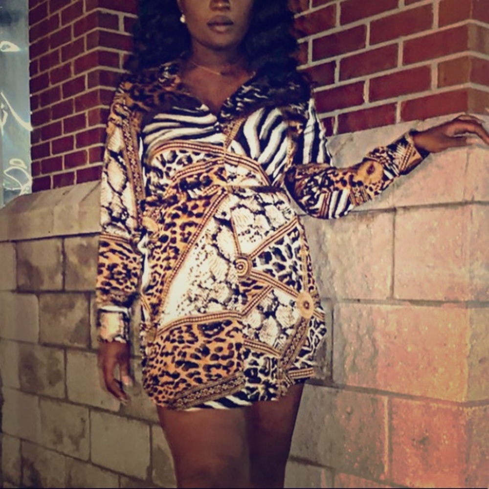 Animal Print Shirt Dress